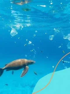 Global initiatives to reduce plastic waste in the ocean