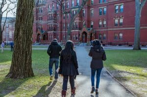Harvard and Columbia layoffs