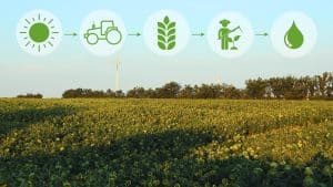 Sustainable Agriculture
