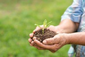 Sustainable Agriculture